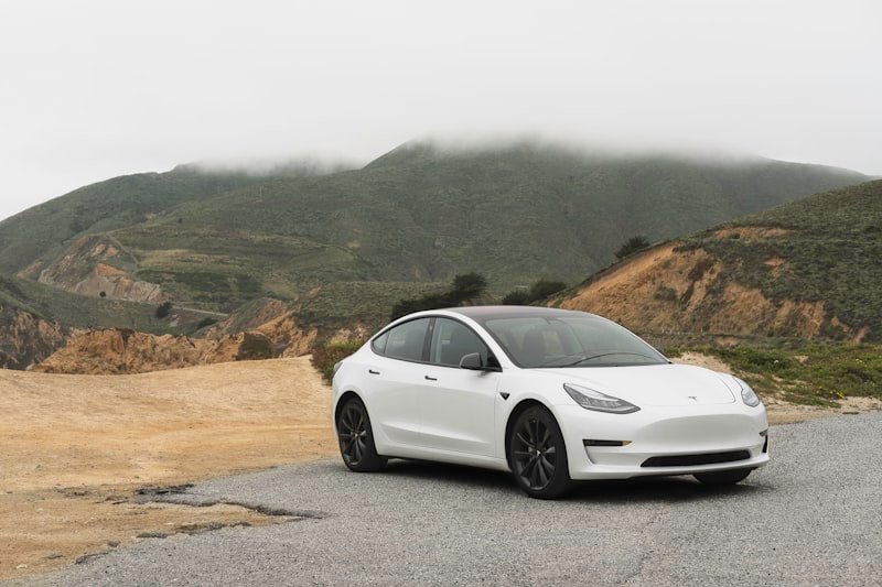 Commercial Electric Vehicles